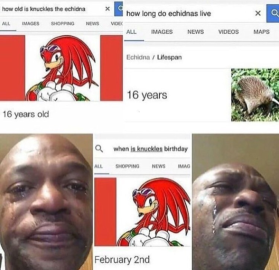 Screenshot-of-meme-asking-how-old-is-Knuckles-the-Echidna How Long Do Idiots Live? Inside TikTok’s Viral Meme